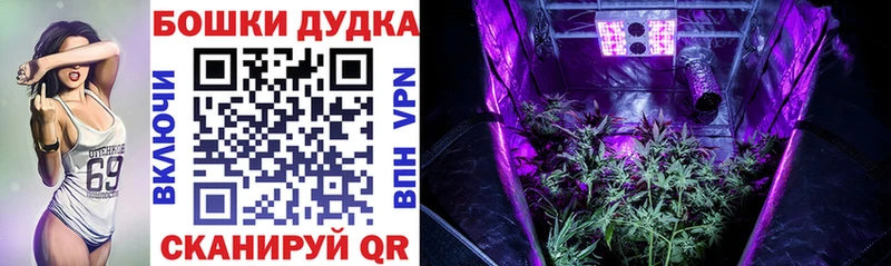 Купить закладку ГАШИШ Псилоцибиновые грибы АМФ Канабис Cocaine Меф мяу мяу APVP Макарьев