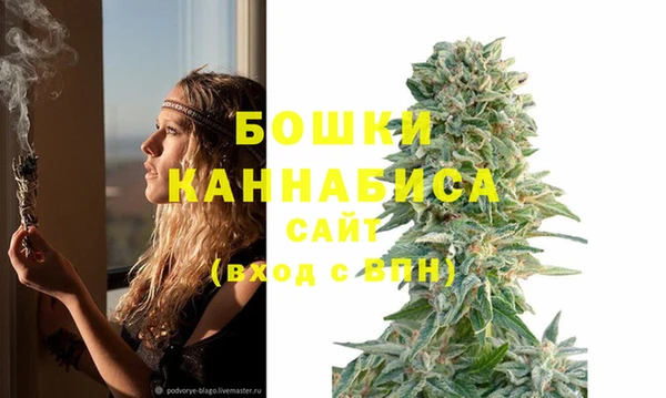 дурь Белоозёрский